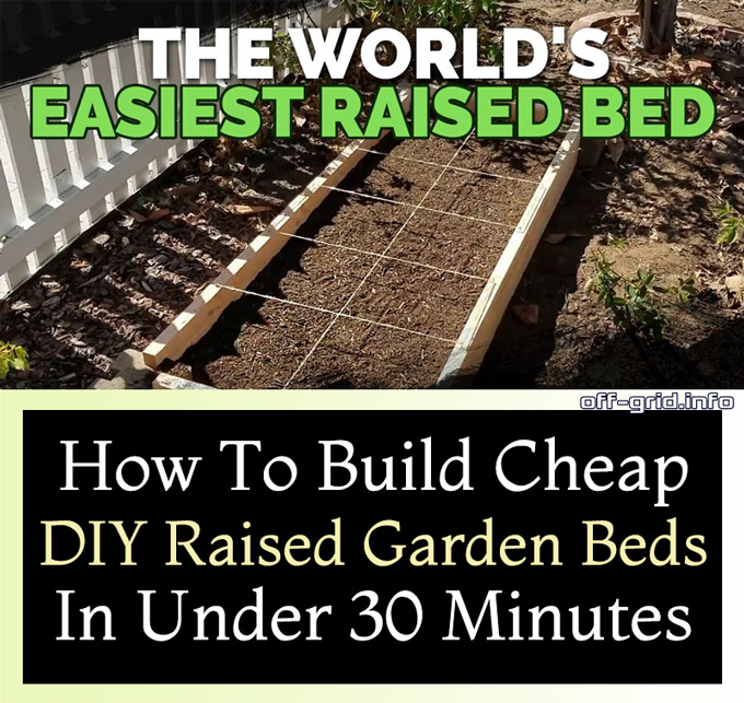 How To Build Cheap, DIY Raised Garden Beds In Under 30 Minutes