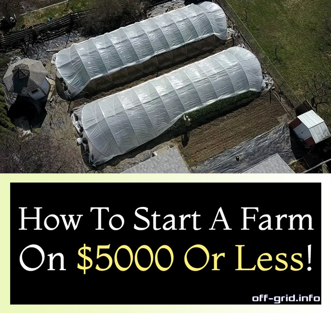 How To Start A Farm On $5000 Or Less
