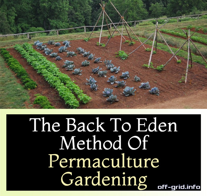 The Back To Eden Method Of Permaculture Gardening