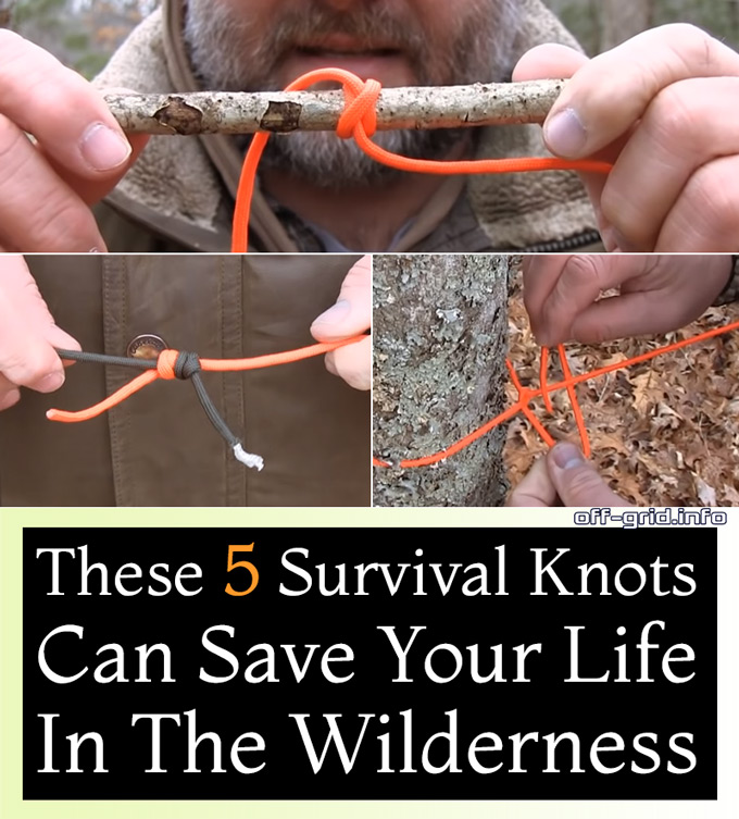 These Five Survival Knots Can Save Your Life in the Wilderness