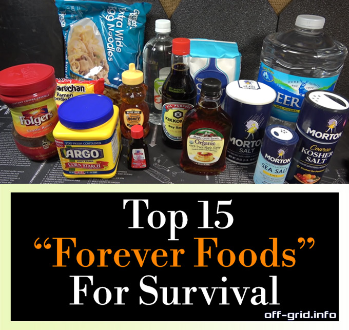 Top 15 Forever Foods For Survival